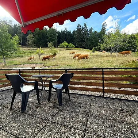 Gaestehaus Waldruhe - Grosses Fuer Gruppen & Familien