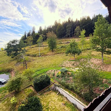 Vakantiehuis Gaestehaus Waldruhe - Grosses Fuer Gruppen & Familien Enzklösterle