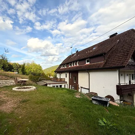 Vakantiehuis Gaestehaus Waldruhe - Grosses Fuer Gruppen & Familien Enzklösterle